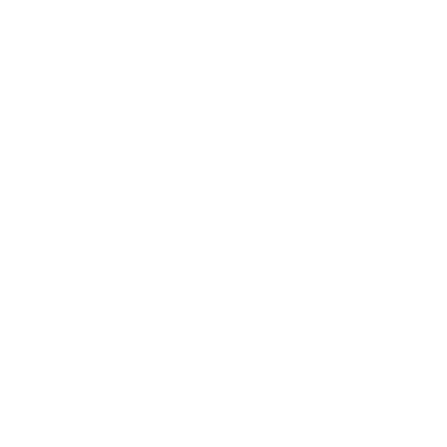 3birdstech.com