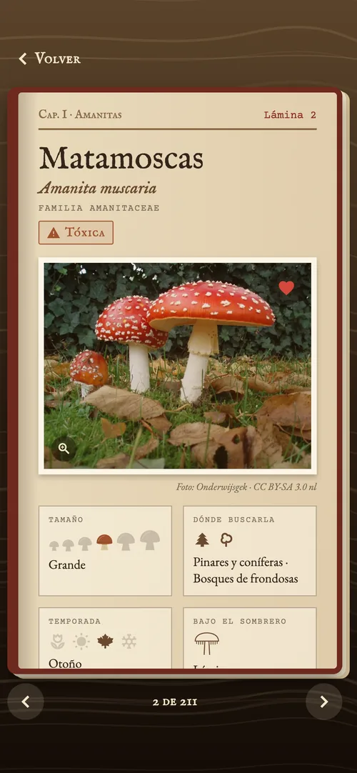 Lámina de la matamoscas, marcada como tóxica, en la enciclopedia
