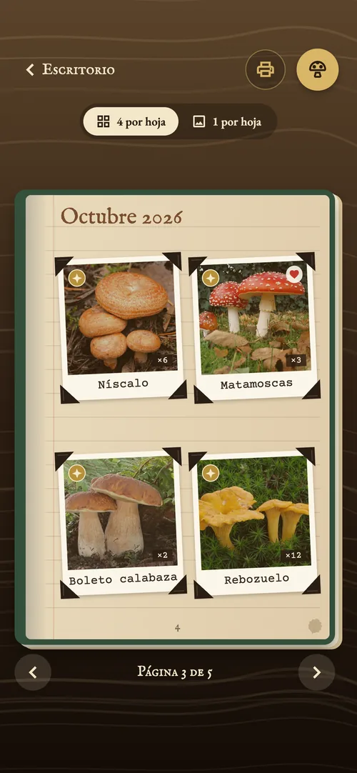 Página del cuaderno con las fotos de octubre