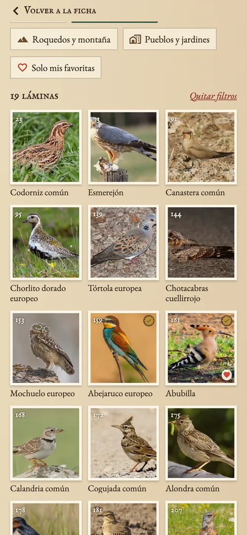Buscador para identificar un ave por tamaño y lugar