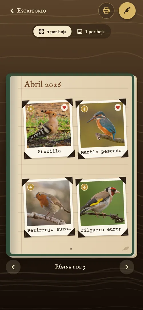 Página del cuaderno con las fotos de abril
