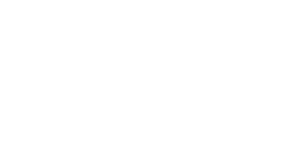 3 Birds Tech